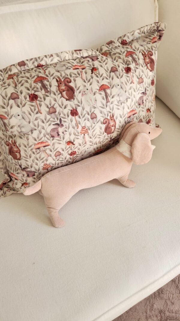 Almohadón Rabbit