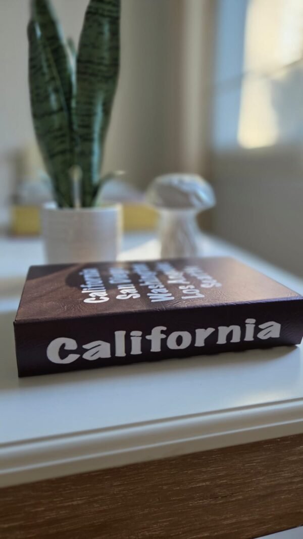 Libro Caja United States - Imagen 2