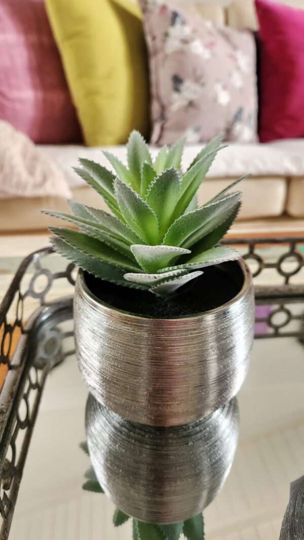 Suculenta Green