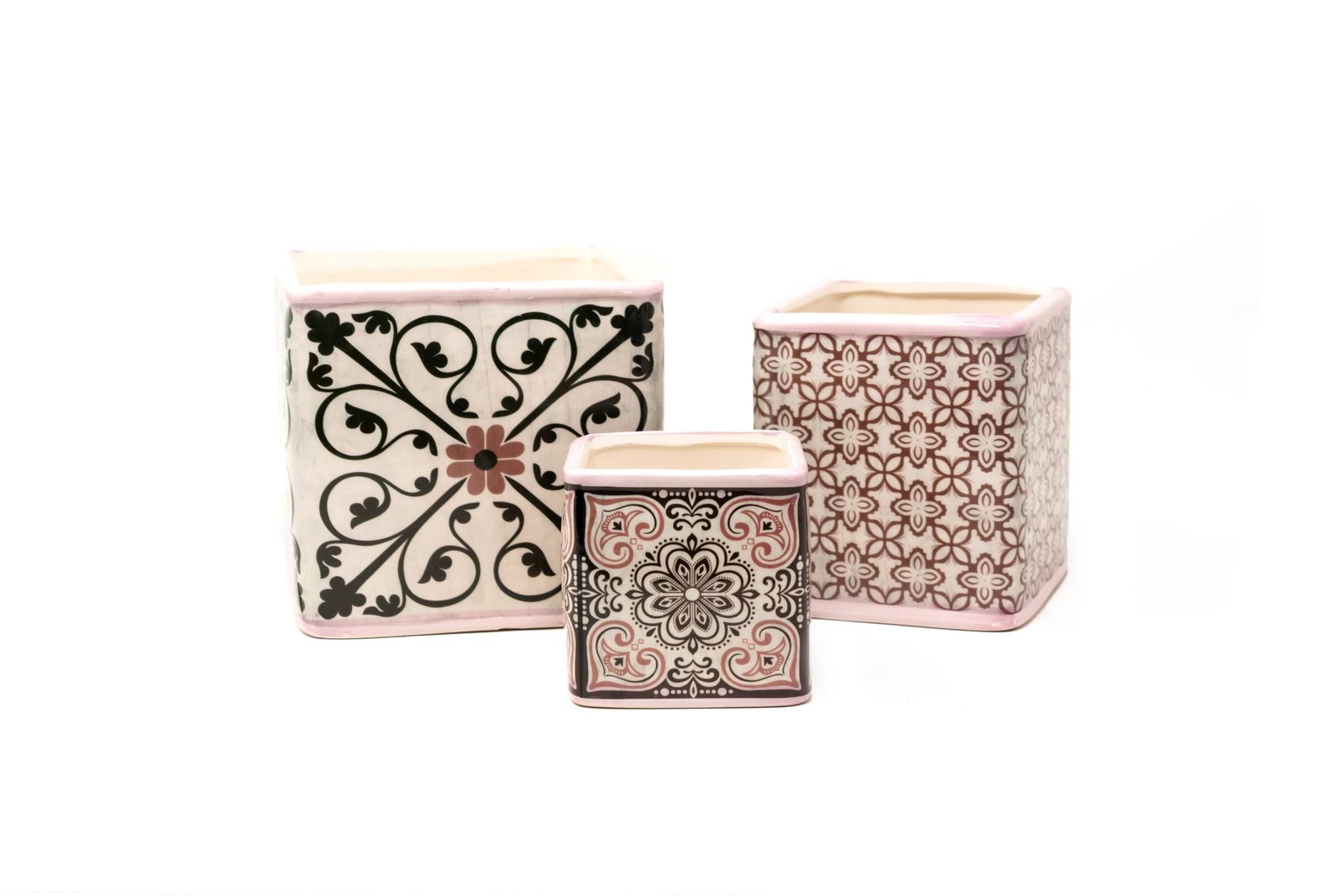 Set de Macetas Calatea