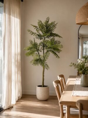 Acacia