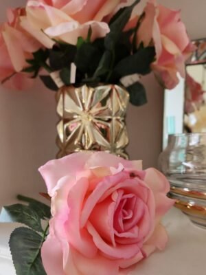 Rosas