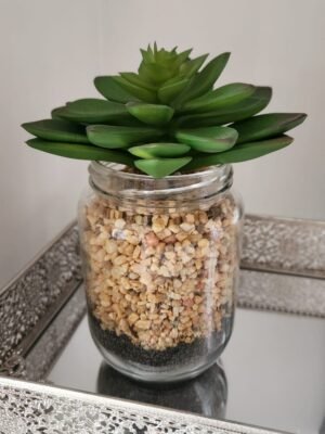 Suculenta Mix