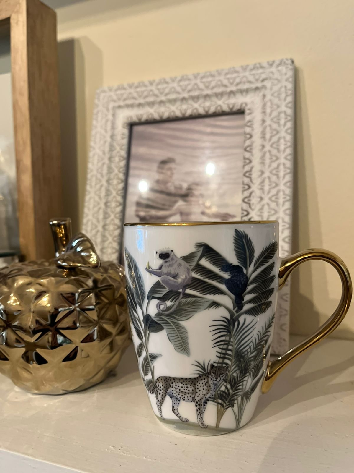 Taza Chita